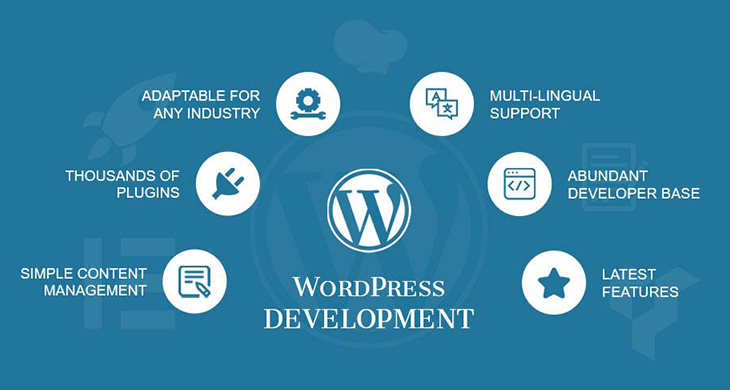 wordpress website