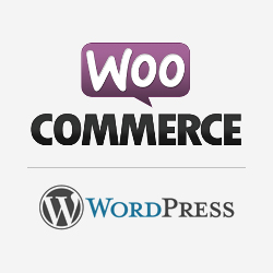 wordpress ecommerce design and development in dehradun