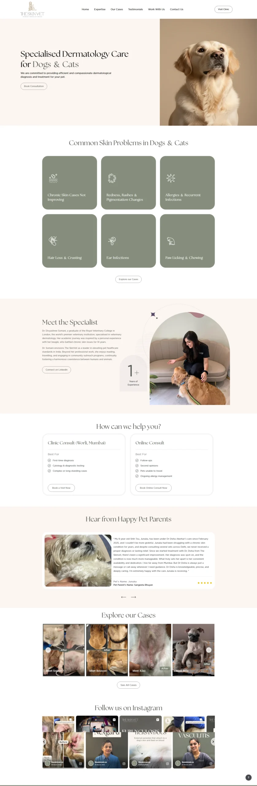 website redesign services